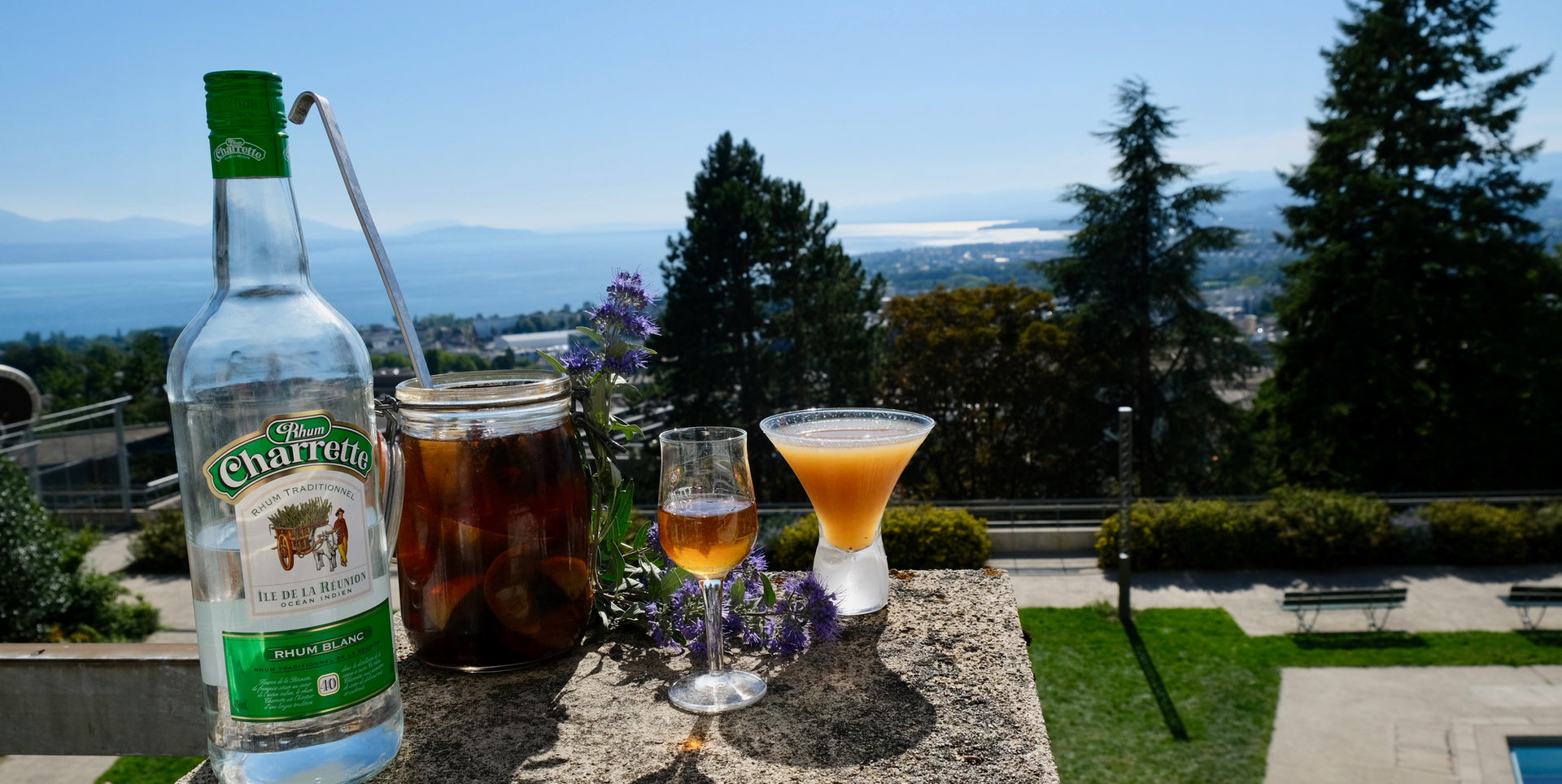 Vue terrasse sur le lac Léman